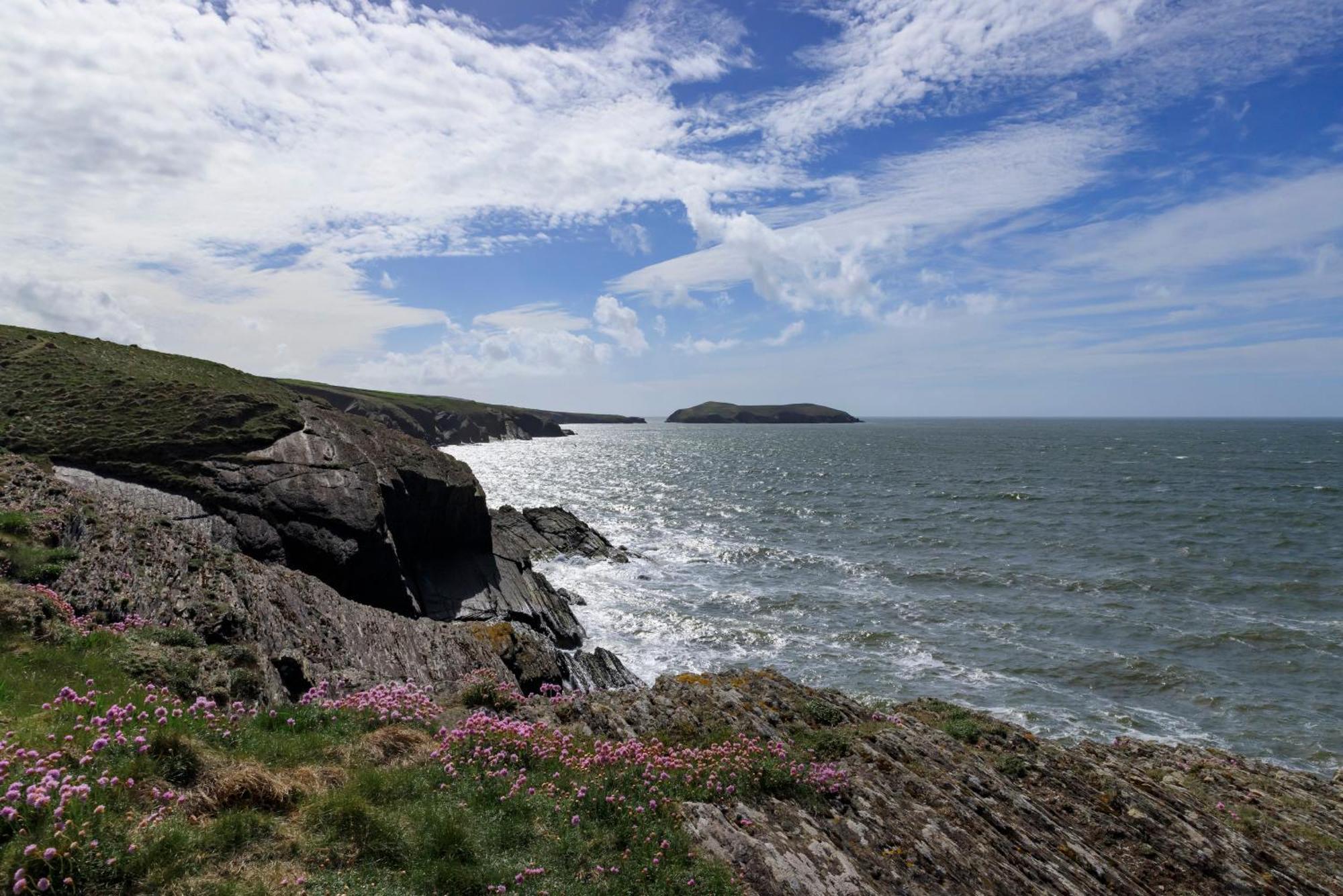 Shepherds Rest Llangrannog Exterior foto